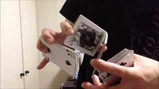 Sybil(Version.1) Tutorial(解説動画)
