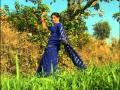 Aaj Bhanumati Teru Dola Full Song Pushpa