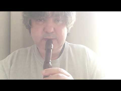 Shallow (A Star I Born) by Lady Gaga and Bradley Cooper, Miguel on recorder.