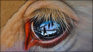 What Vegans See | A Video For Non Vegans [NOT Graphic]