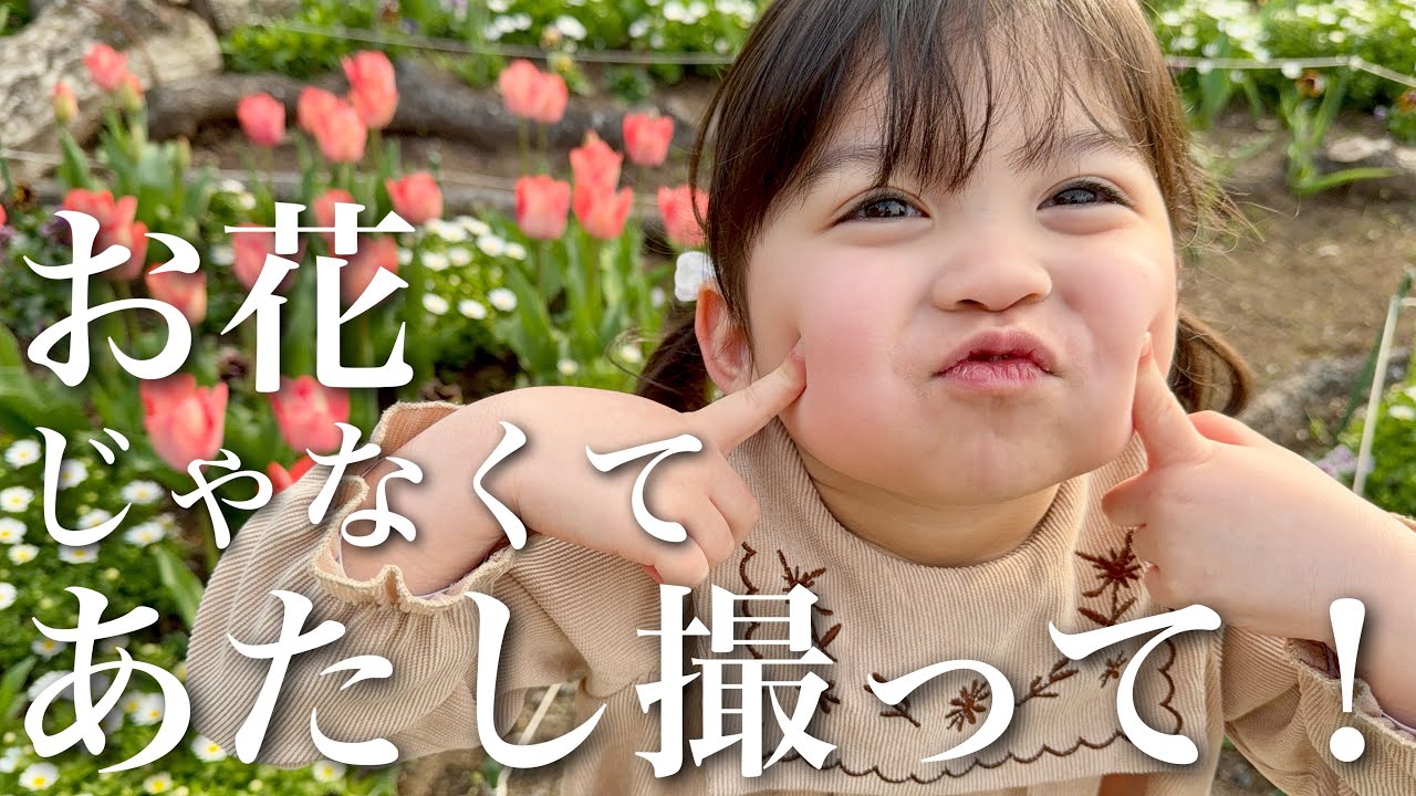 【年子育児】写真大好きな娘と楽しくお花見♪…のはずが！桜、散ってたんですけど！どういうことw｜Family cherry blossom viewing.