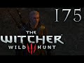 The Witcher 3: Wild Hunt [175] - Hass und Vernunft