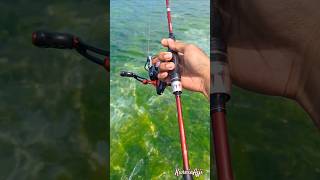 Download lagu POV Joran Daido Emperor Garuda dan Reel Caribbean PRO 1000 🔥 #daido #garuda #emperor #caribbean #pro mp3