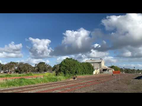 9155 Pacific National Grain train at Meredith (29/10/2021)
