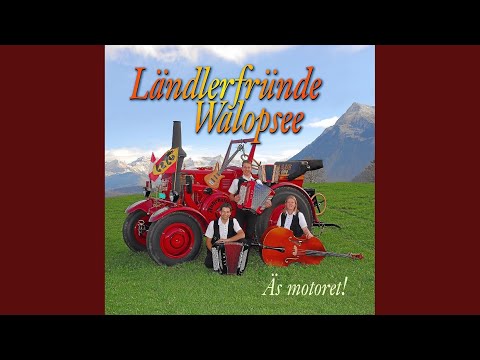 Silvia's Freudeträne