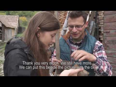 Alma Vii, Transylvania - Centre For Interpretation Of Traditional Culture Alma Vii