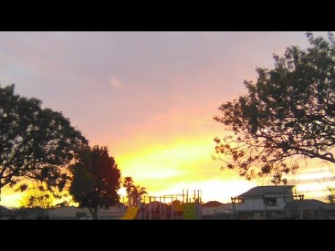 9--11-in-new-zealand