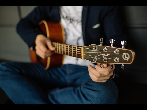 Ibanez AF55 Bacchus Universe Jazz Bass Guitar Lessons