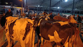 Develi ticaret borsası CANLI HAYVAN PAZARI, Salı pazarı, Organik süt ürünleri .!
