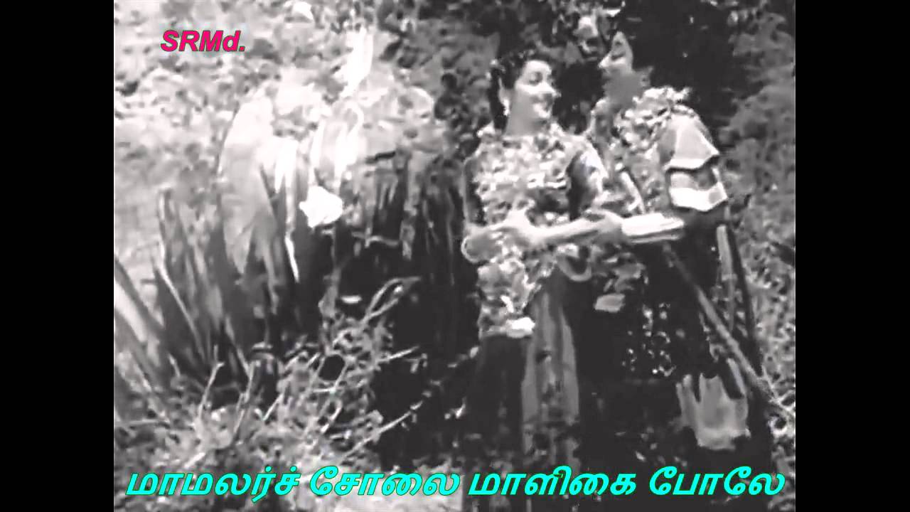 Kalyanam Nam Kalyanam Song Lyrics | Thangamalai Ragasiyam | T. M. Soundarajan, P. Leela