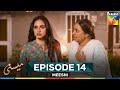 Meesni Episode 14