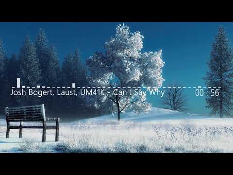 Josh Bogert, Laust, UM41K - Can't Say Why [with lyrics]