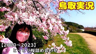 【2020～2023】とっとり桜詰め合わせ【鳥取実況】