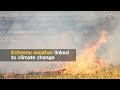 Climate Science