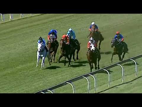 TRUE TO LIFE -Turffontein 3/4/21