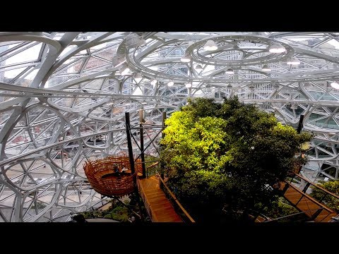 Tour of Amazon Spheres