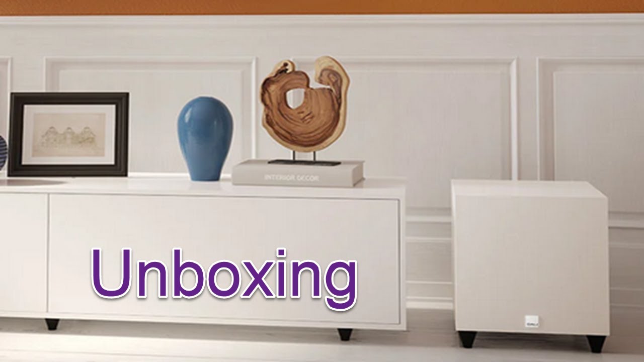 video Loa subwoofer Dali Sub C-8 D BK chính hãng 0