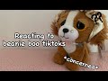 Reacting To Beanie Boo TikToks Cuddly Boos