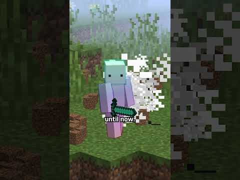 The Worst Skin In Minecraft