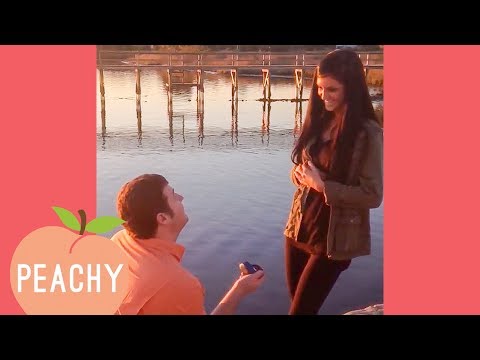 download lagu mp3 mp4 Cute Proposal Response, download lagu Cute Proposal Response gratis, unduh video klip Cute Proposal Response
