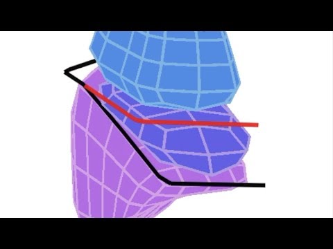 Lung Lobes & Fissures - Simple 3D Anatomy