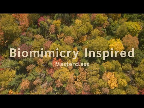Learn Biomimicry