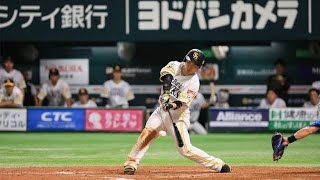 近藤健介に異変…右肘直撃で途中交代😨#プロ野球#ソフトバンクホークス#近藤健介#死球#野球ニュース#オリックスバファローズ#NPB#スポーツニュース#負傷情報#野球ハイライト
