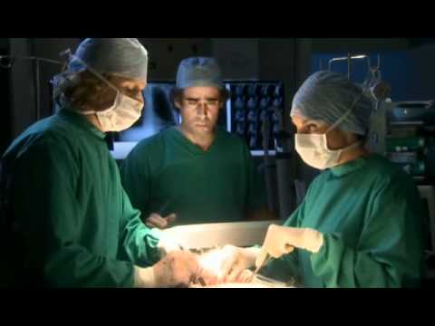 Greenwing Series 2 Guy sings