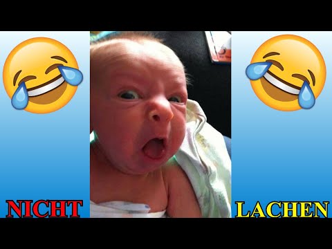 VERSUCHE NICHT ZU LACHEN !!! 🤣🤣🤣 #72