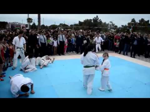 показательные выступление 2013