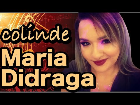 MARIA DIDRAGA - Colindul celui fara de tara (cover ambiental version)
