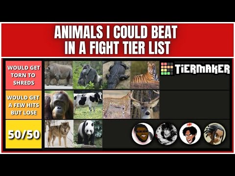 SO WE RANKED ANIMALS WE COULD BEAT IN A FIGHT.. AND IT GOT TOXIC FT. YOURRAGE, FLACOJORDI & MIGHDAS