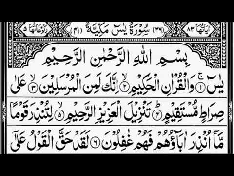 Beautiful Surah Yasin 1 Ruku