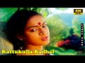 Kattukulla Kadhal Kiliye HD Ssd Tamil Songs Vijayakanth Nalini HD Songs