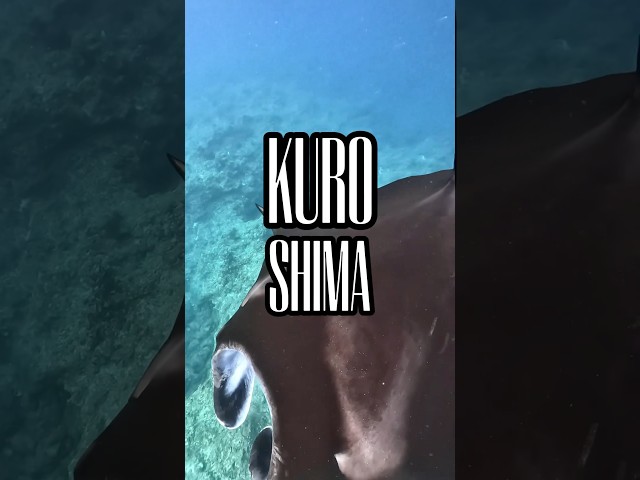 とんとんだいぶ