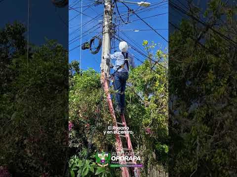 𝐄𝐧 𝐎𝐩𝐨𝐫𝐚𝐩𝐚 𝐭𝐫𝐚𝐛𝐚𝐣𝐚𝐦𝐨𝐬 𝐩𝐨𝐫 𝐭𝐮 𝐬𝐞𝐠𝐮𝐫𝐢𝐝𝐚𝐝