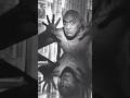 How Did Amrish Puri Die Shorts Amrish Puri Death