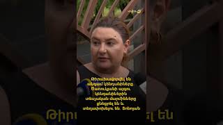 Ծառուկյանի այգու կենդանիներին տեսչական մարմինները քնեցրել են և տեղափոխելու են․ Տոնոյան