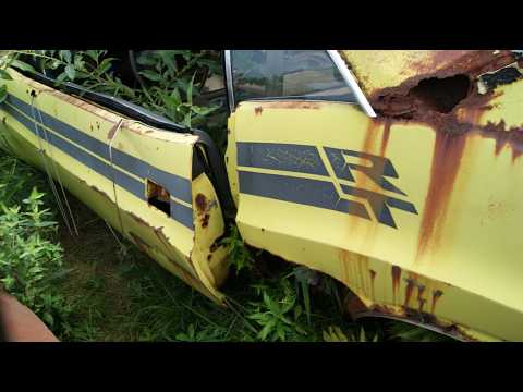 1969 Z/28 Camaro DISCOVERED in Overgrown Junkyard