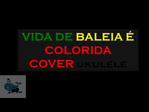 Vida De Baleia É Colorida - Salomão do Reggae