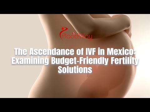 The Ascendance of IVF in Mexico: Examining Budget-Friendly Fertility Solutions