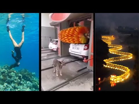 DOG gets washed at a CAR WASH