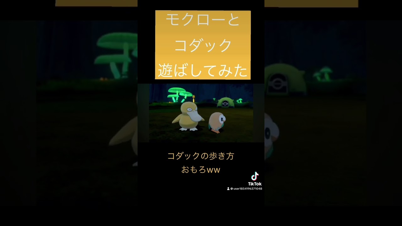 モクローとコダック遊ばしてみた #ポケモン