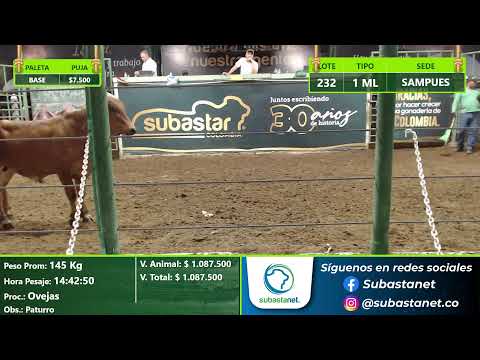Subasta Virtual - Presencial Sampués (E28) 17/07/2026