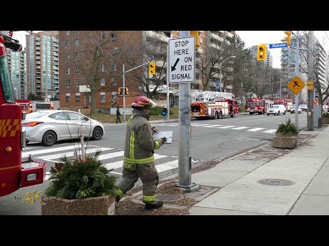 Toronto: Apartment fire in Etobicoke claims cat's 9th life 1-2-2020
