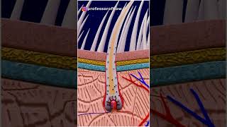 Why do we get &#39;WHITE&#39; hairs? - By Kishor Singh #shorts