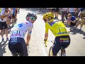 Why did Pogacar and Vingegaard Ride Like This? Tour de France 2023 Stage 20