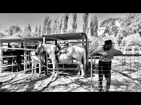 Chum Creek Horse Riding and Huts