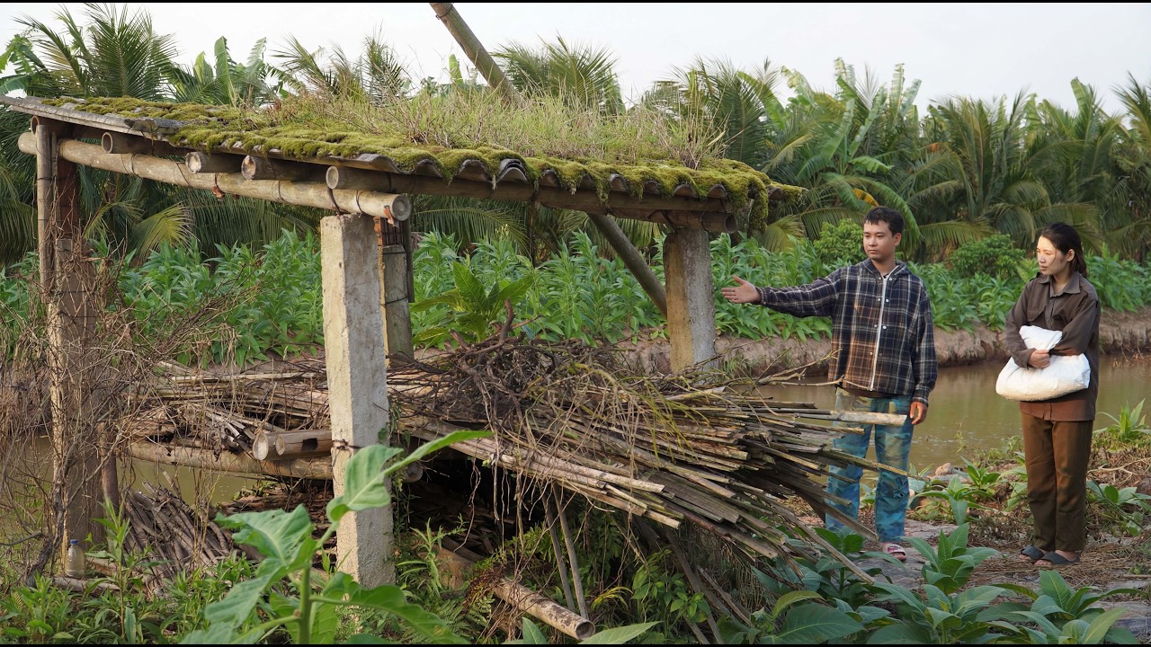 The homeless girl was fortunate enough to be lent a house and a piece of land by a kind person.