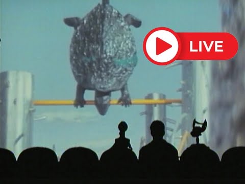 🐢 Gamera is Really Neat